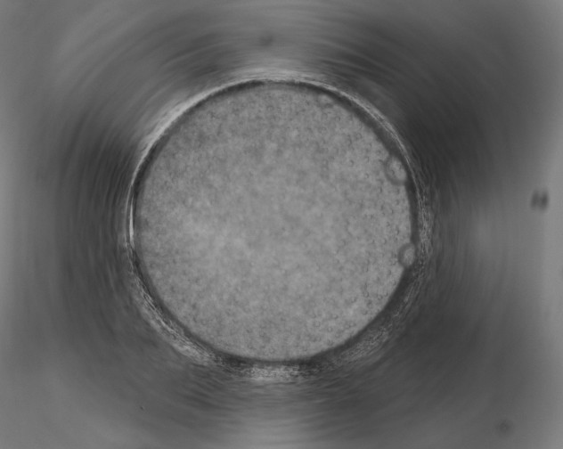 X0000115070887200912081145