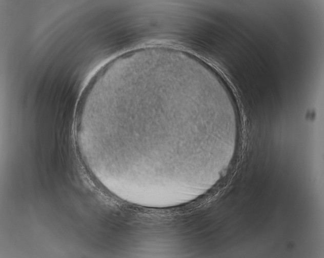 X0000115070888200912081145