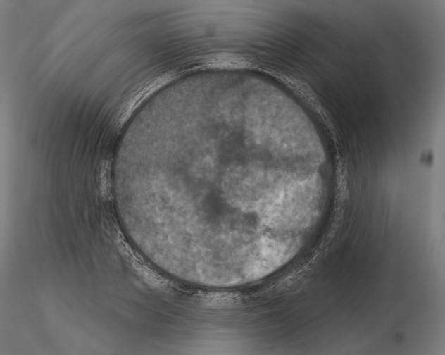 X0000115070889200912081145
