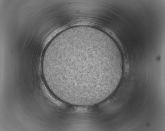 X0000115070890200912081145