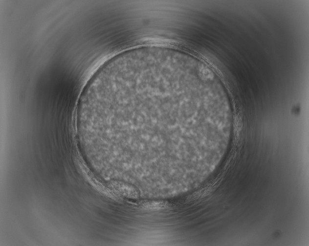 X0000115070891200912081145