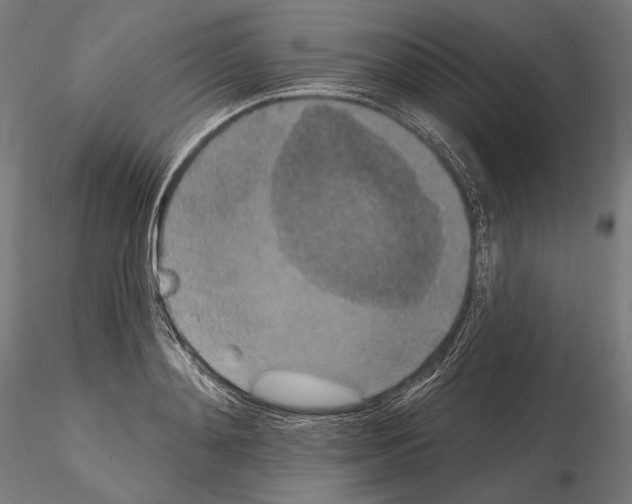 X0000115070892200912081145