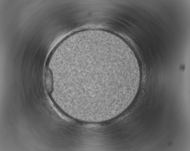 X0000115070894200912081145
