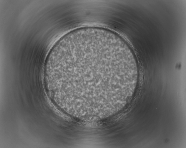 X0000115070895200912081145
