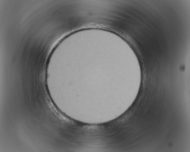 X0000115070896200912081145