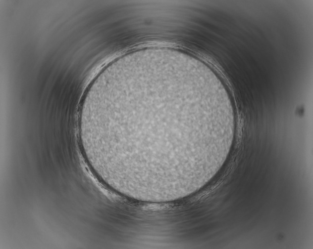 X0000115070898200912081145