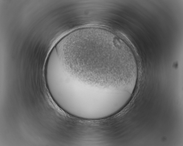 X0000115070900200912081145