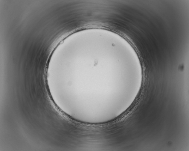 X0000115070901200912081145