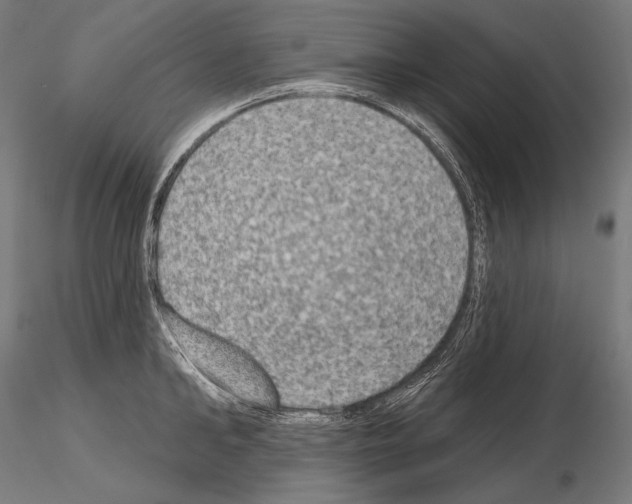 X0000115070902200912081145