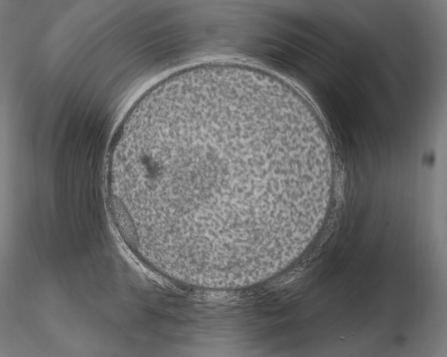 X0000115070903200912081145