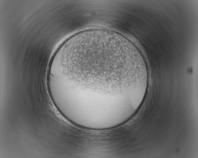 X0000115070904200912081145