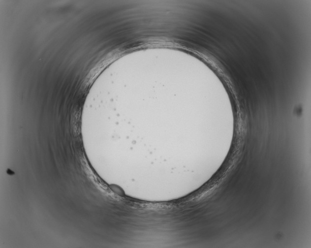 X0000115070905200912081145