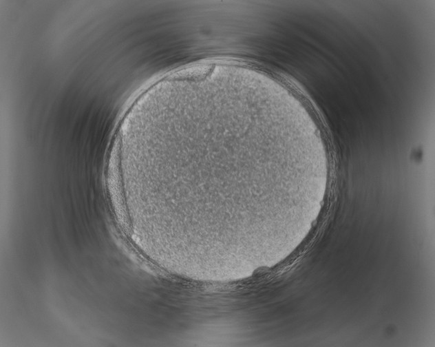 X0000115070908200912081145