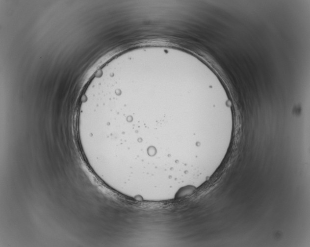 X0000115070909200912081145