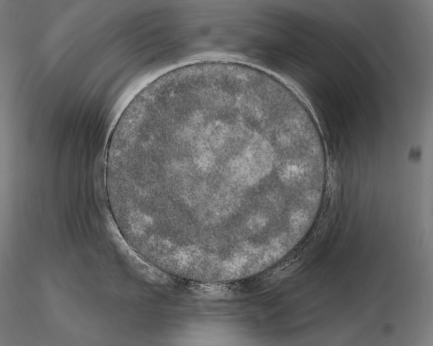 X0000115070911200912081145