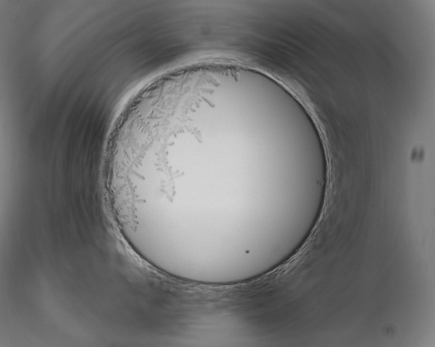 X0000115070912200912081145