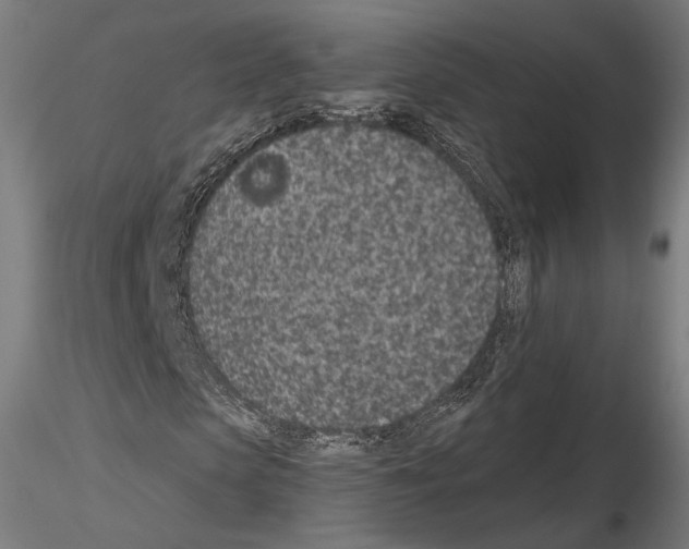 X0000115070913200912081144