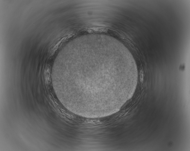 X0000115070915200912081144