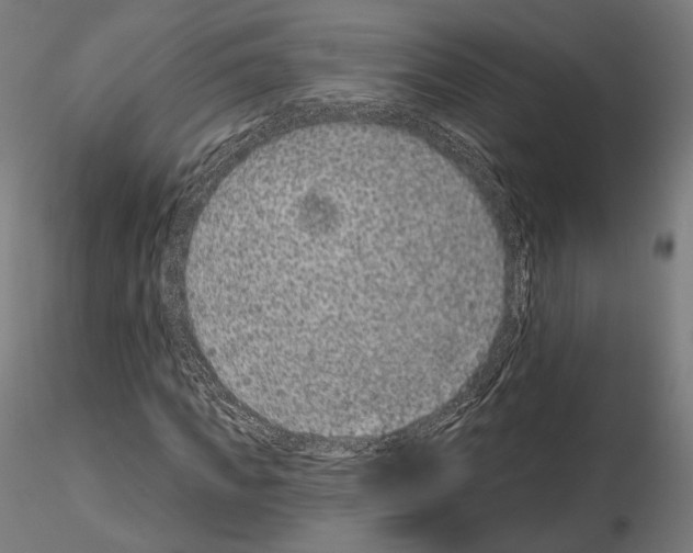 X0000115070917200912081144