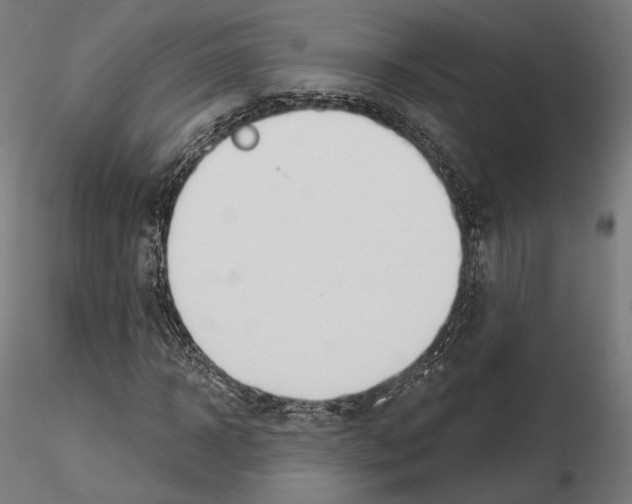 X0000115070918200912081144