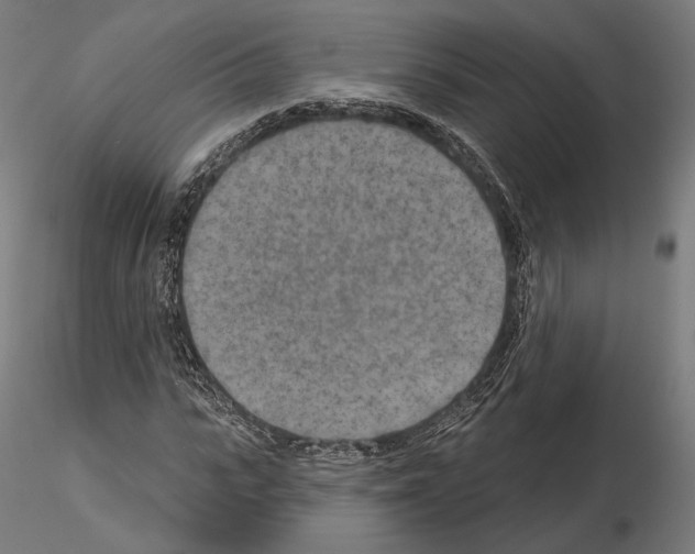 X0000115070919200912081144