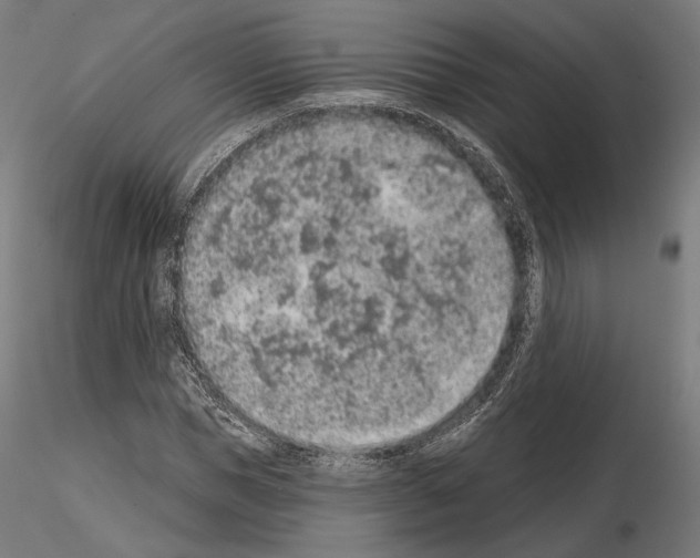 X0000115070921200912081144