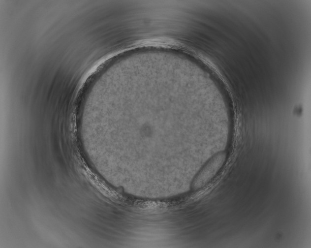 X0000115070923200912081144