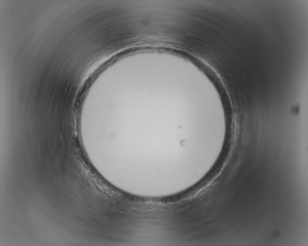 X0000115070925200912081144