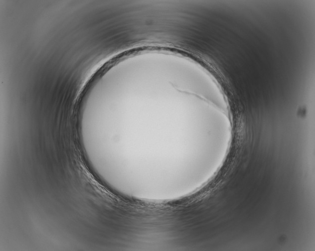 X0000115070926200912081144