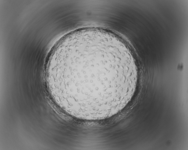 X0000115070927200912081144