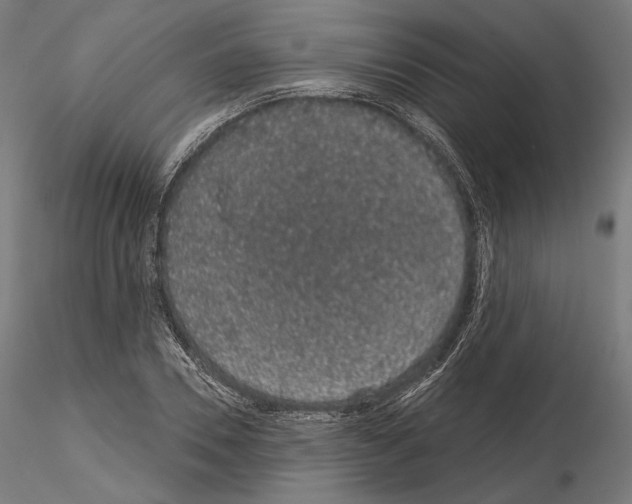 X0000115070930200912081144