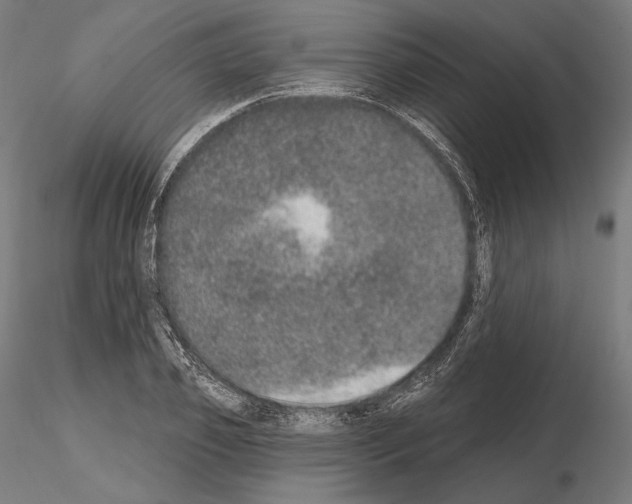X0000115070933200912081144