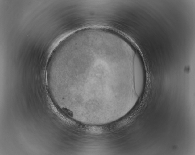 X0000115070935200912081144