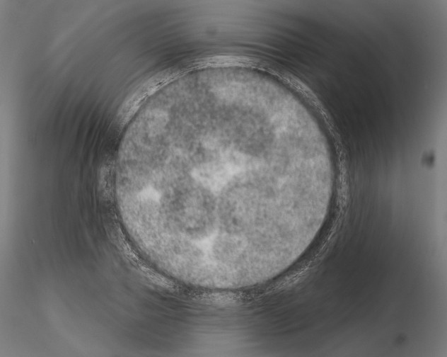 X0000115070937200912081144