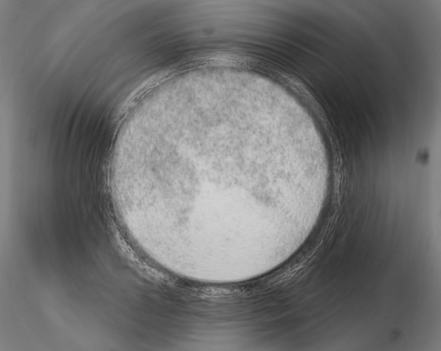 X0000115070938200912081144