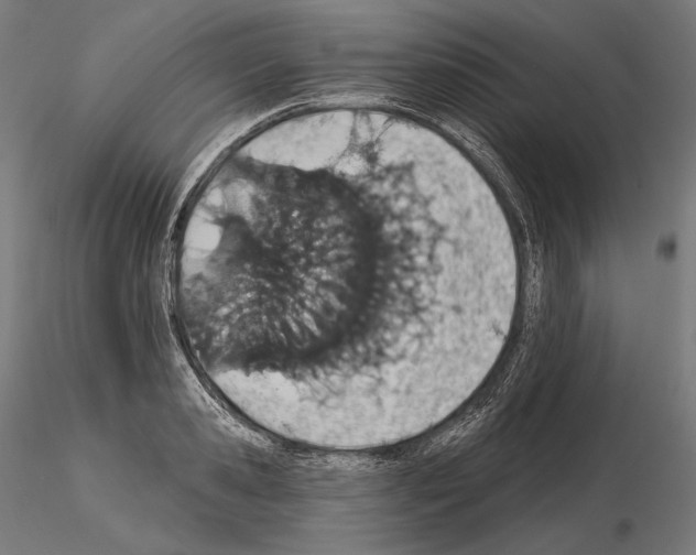X0000115070941200912081144