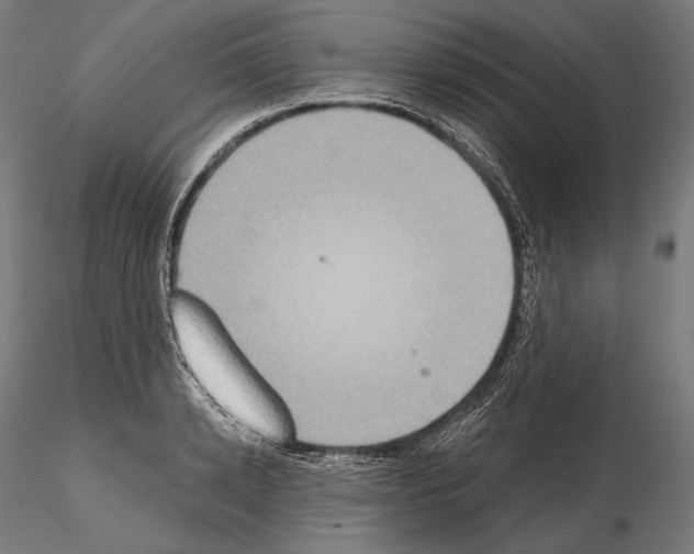 X0000115070942200912081144