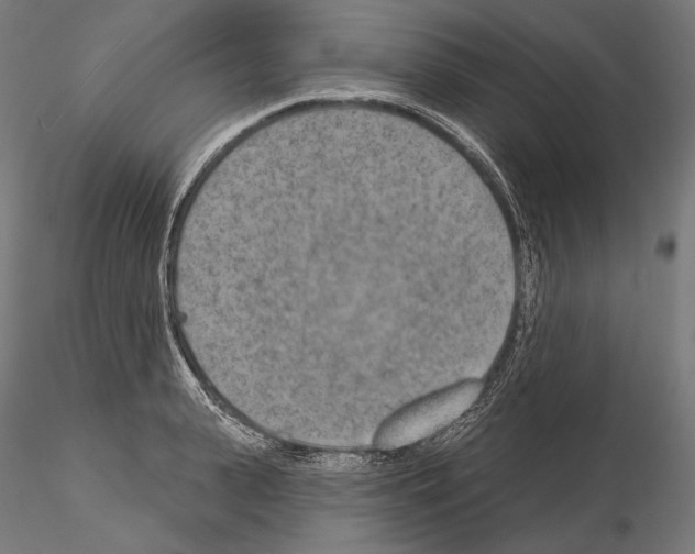 X0000115070943200912081144