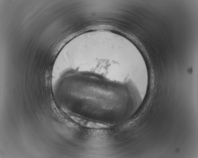 X0000115070945200912081144