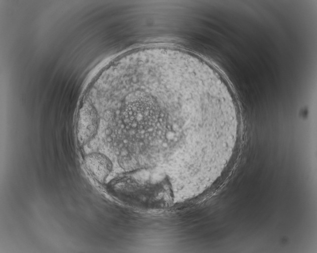 X0000115070949200912081144