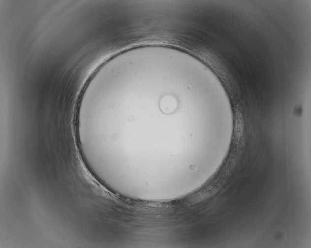 X0000115070950200912081144