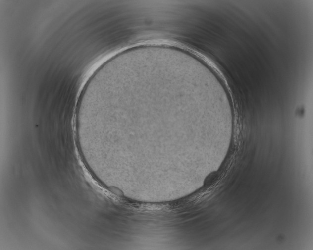 X0000115070951200912081144