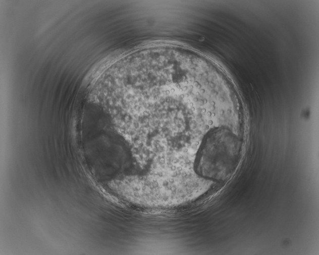 X0000115070953200912081144