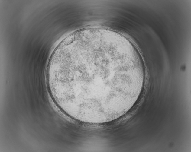 X0000115070957200912081144