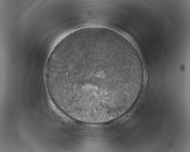 X0000115070958200912081144