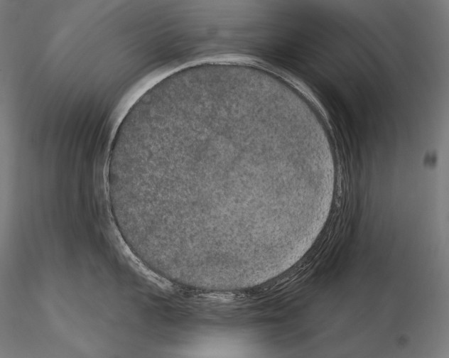 X0000115070959200912081144