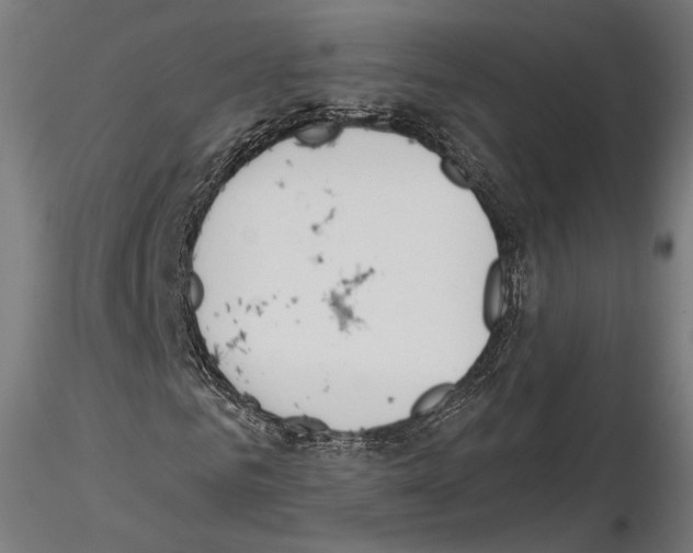 X0000115070961200912081144