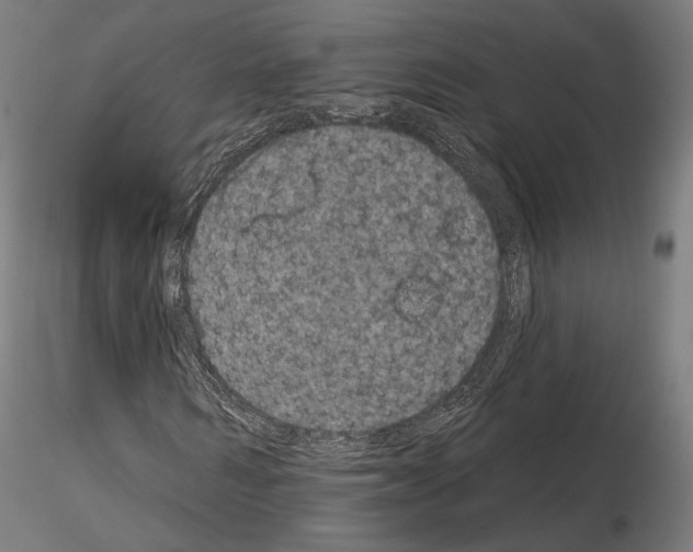 X0000115070962200912081144