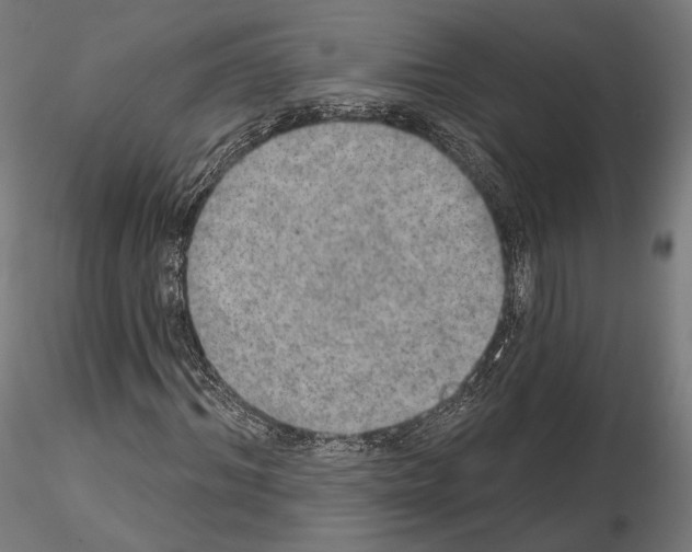 X0000115070964200912081144