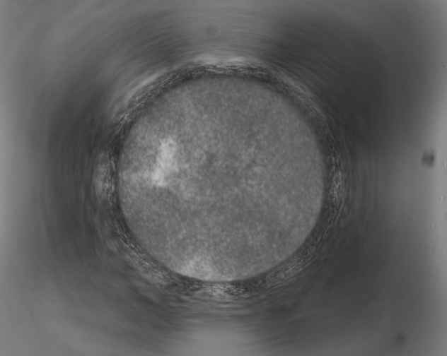 X0000115070966200912081144